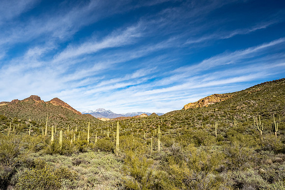 Arizona 2020