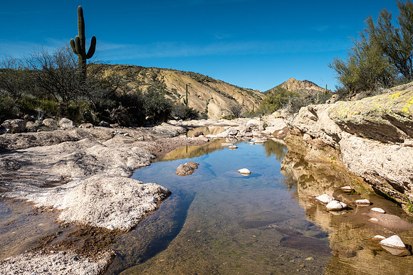 Arizona 2020