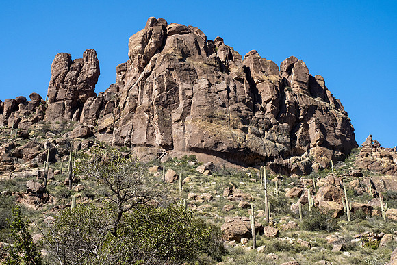 Arizona 2020