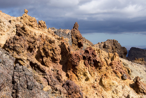 New Zealand 2013
