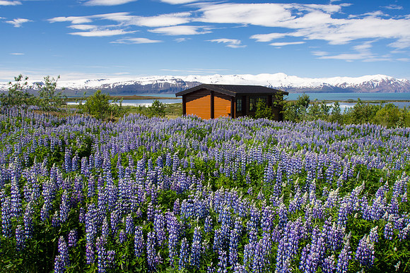 Iceland 2014