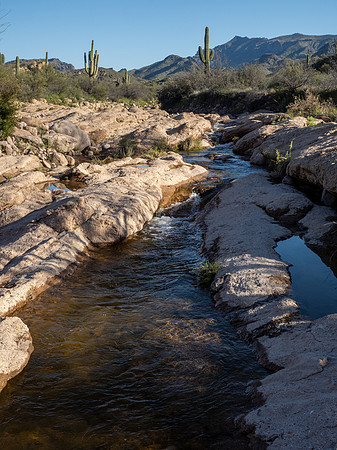 Arizona 2020