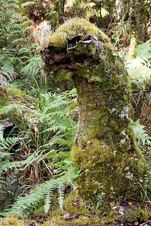 New Zealand 2013