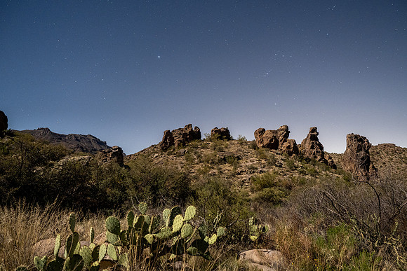 Arizona 2021