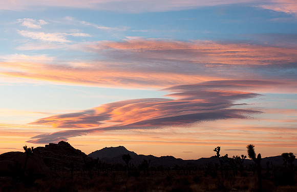 Joshua Tree National Park