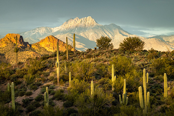 Arizona 2020