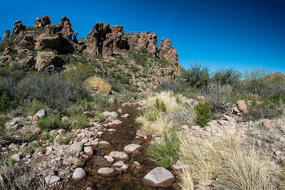 Arizona 2019