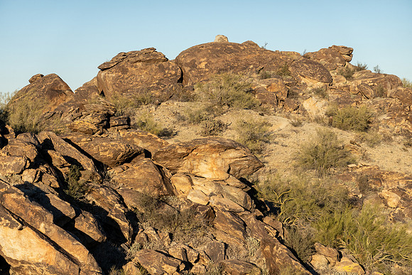Arizona 2021