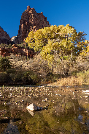 Zion National Park 2024