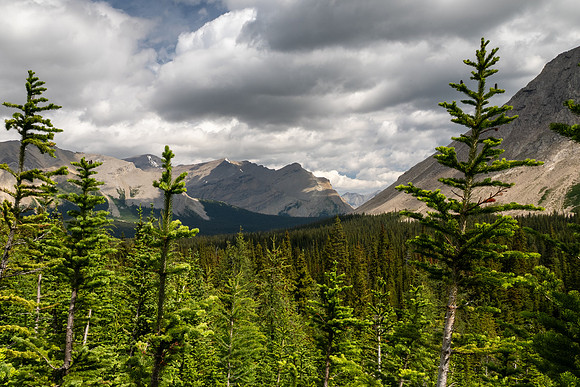 Banff National Park 2025
