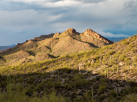 Arizona 2018