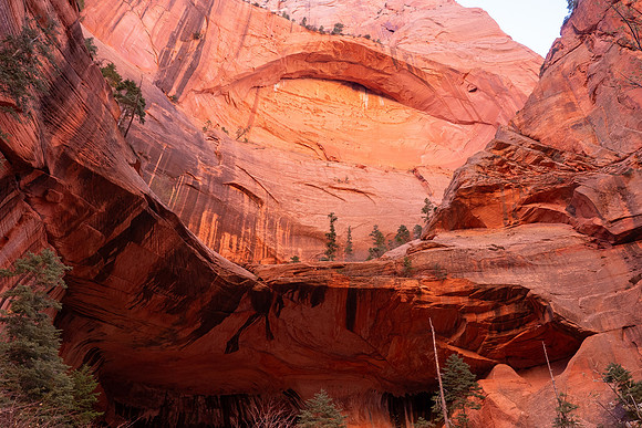 Zion National Park 2024
