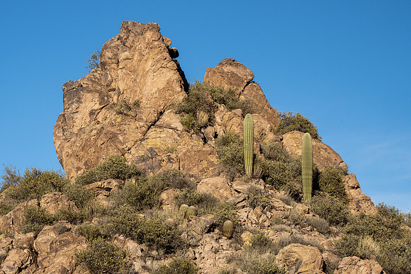 Arizona 2021