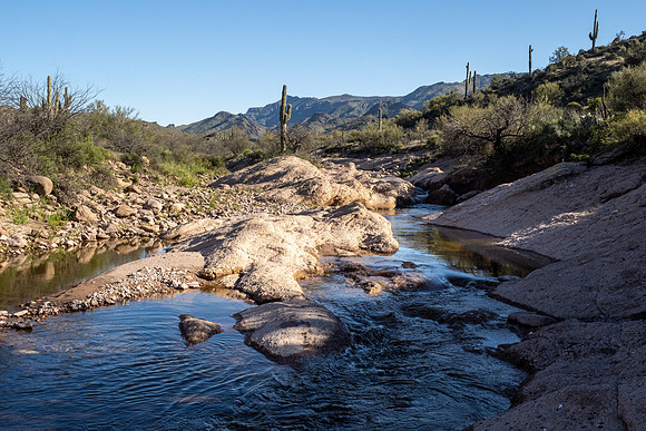 Arizona 2020