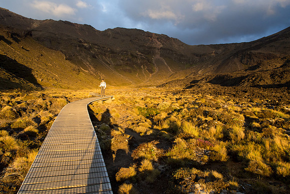 New Zealand 2013