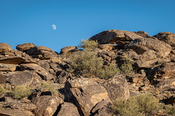 Arizona 2020