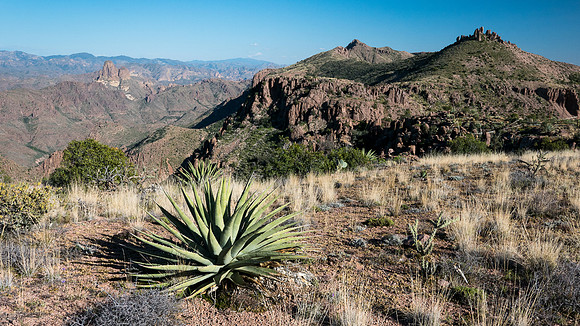 Arizona 2015 - Superstitions Ridge Hike (Mar)
