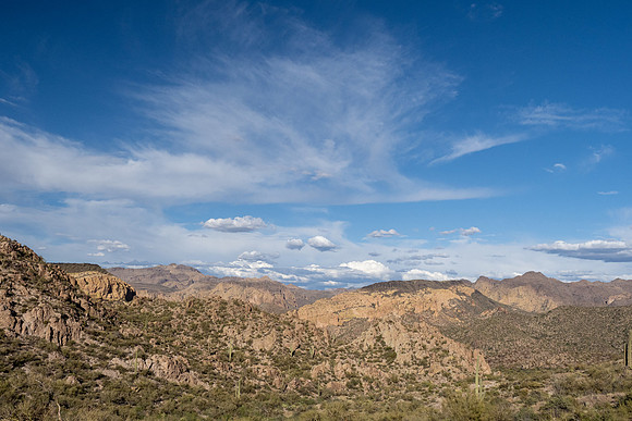 Arizona 2021