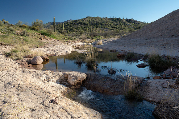 Arizona 2019