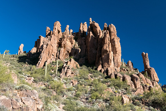 Arizona 2015 - Superstitions Ridge Hike (Mar)