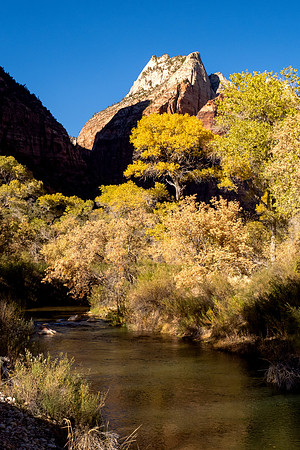 Zion National Park 2024