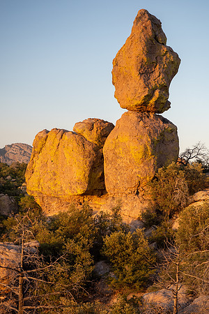 Arizona 2024