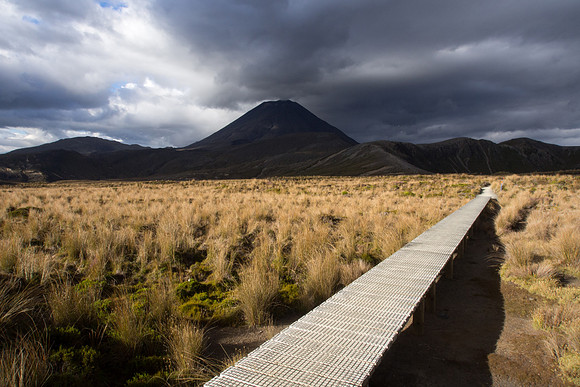 New Zealand 2013