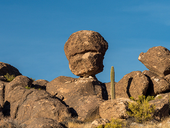 Arizona 2018