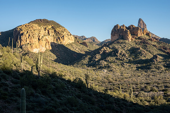 Arizona 2020