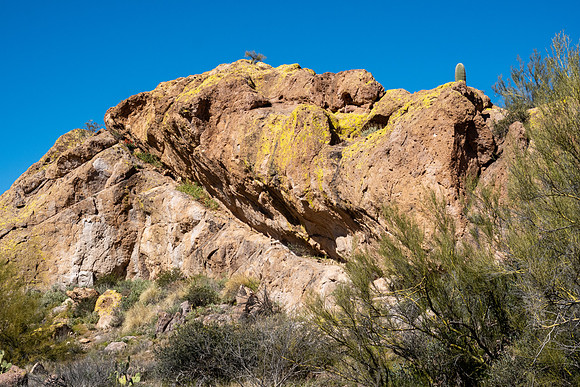Arizona 2020