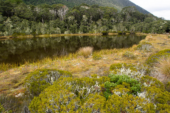 New Zealand 2013