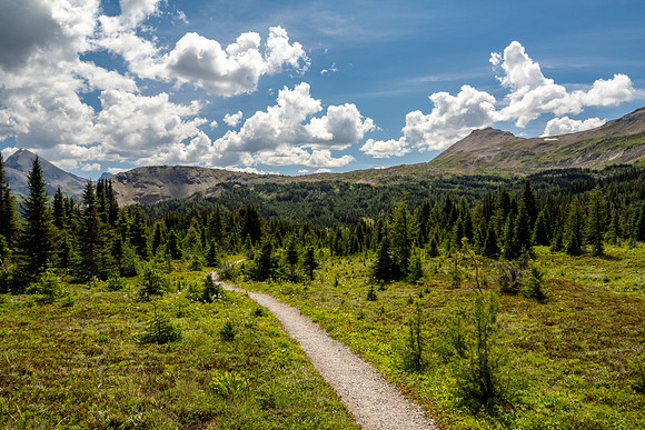 Banff National Park 2025