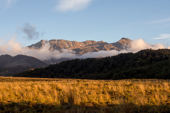 New Zealand 2013