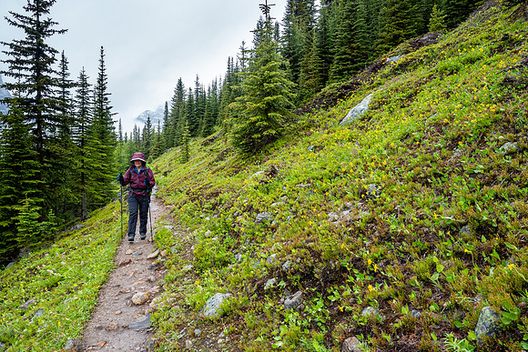Pacific NW 2019