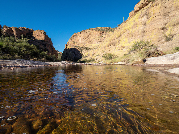 Arizona 2019