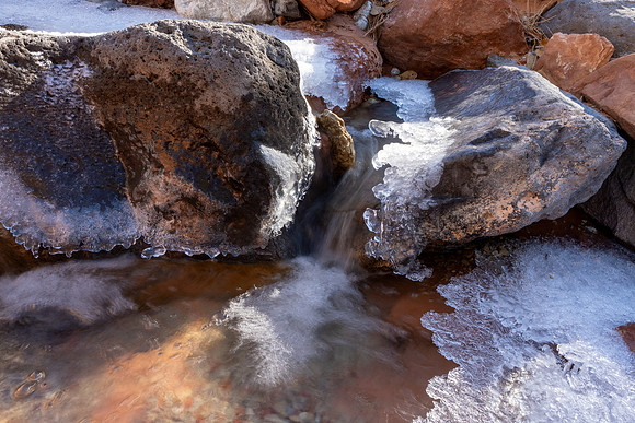 Zion National Park 2024