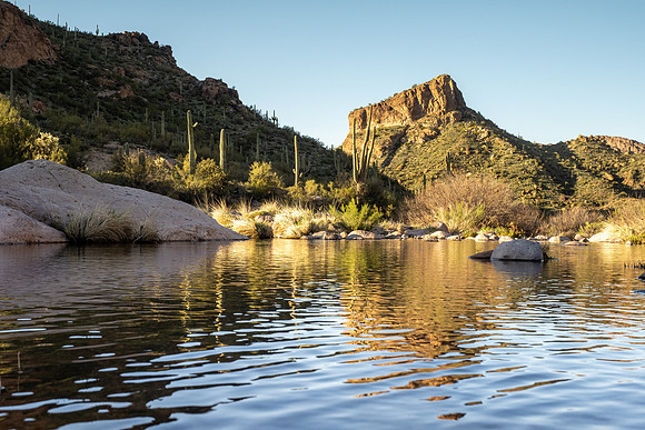 Arizona 2020