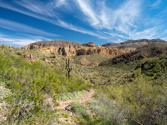 Arizona 2019