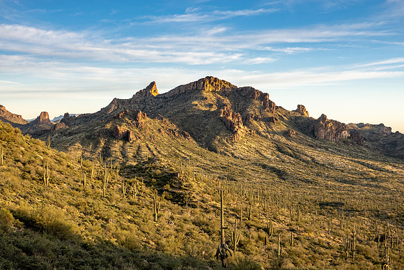 Arizona 2019