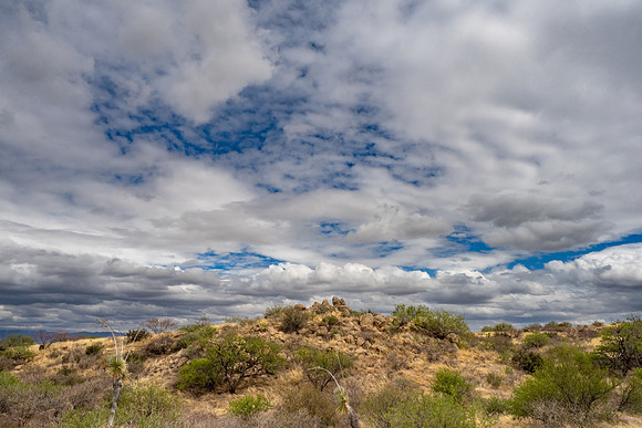 Arizona 2025