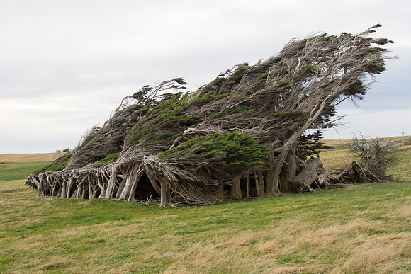 New Zealand 2013