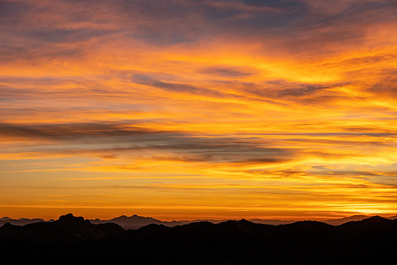 Arizona 2019