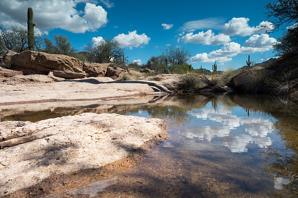 Arizona 2018