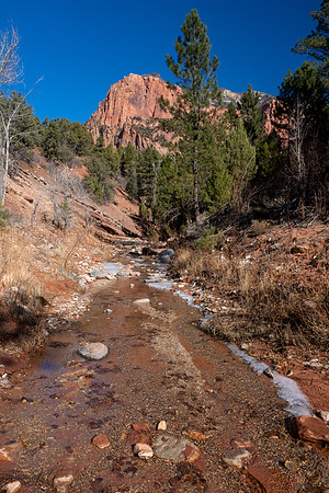Zion National Park 2024