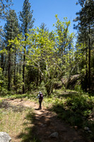 Horton Creek Hike (May 2020)