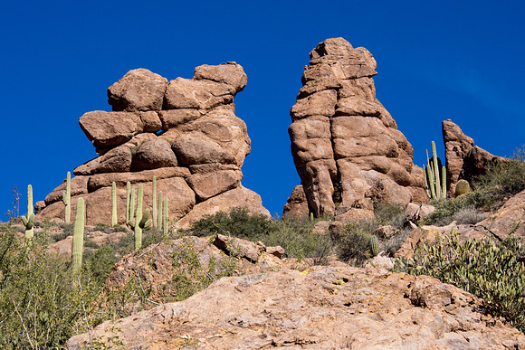 Arizona 2013 - Superstitions Hike Bluff Spring Loop