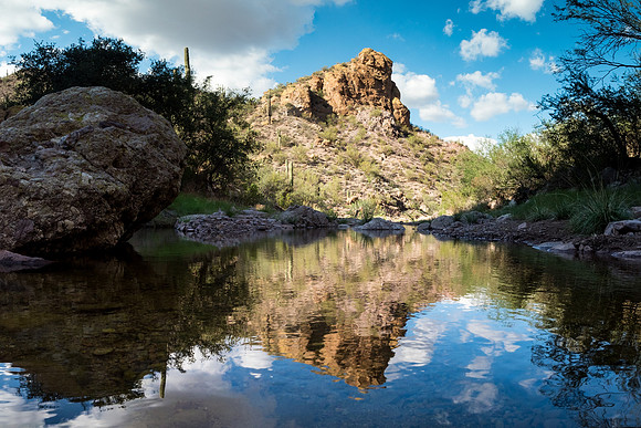 Arizona 2018