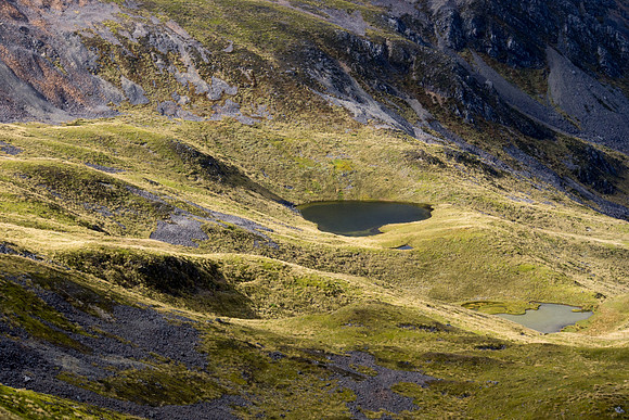 New Zealand 2013