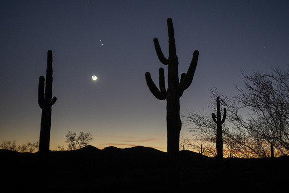 Arizona 2020