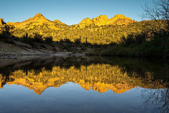 Arizona 2020